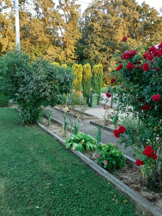 Maja Διαμέρισμα Velika Gorica Εξωτερικό φωτογραφία